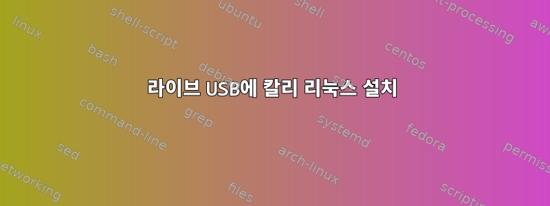 라이브 USB에 칼리 리눅스 설치