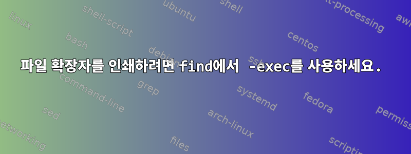 파일 확장자를 인쇄하려면 find에서 -exec를 사용하세요.