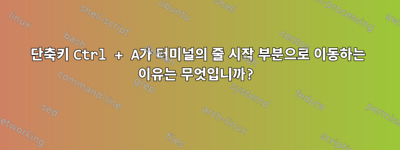 단축키 Ctrl + A가 터미널의 줄 시작 부분으로 이동하는 이유는 무엇입니까?