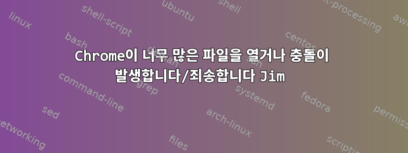 Chrome이 너무 많은 파일을 열거나 충돌이 발생합니다/죄송합니다 Jim