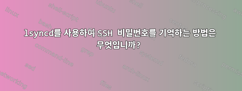 lsyncd를 사용하여 SSH 비밀번호를 기억하는 방법은 무엇입니까?