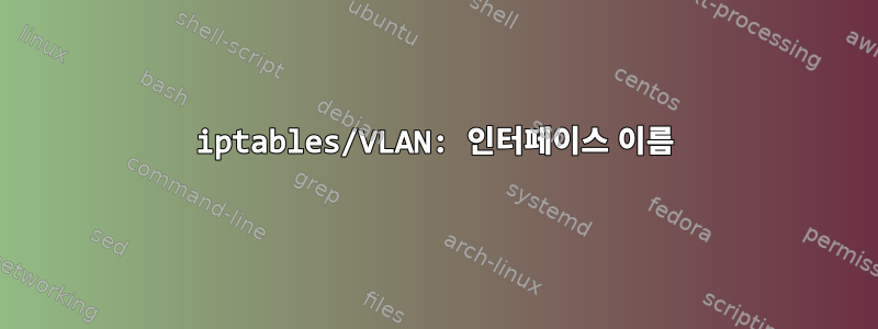 iptables/VLAN: 인터페이스 이름