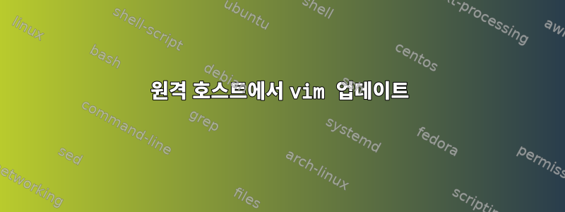 원격 호스트에서 vim 업데이트