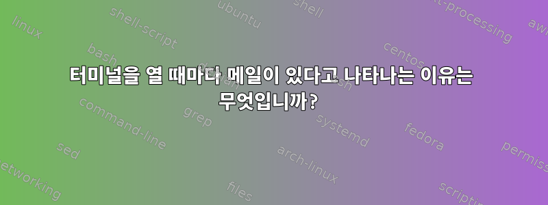 터미널을 열 때마다 메일이 있다고 나타나는 이유는 무엇입니까?