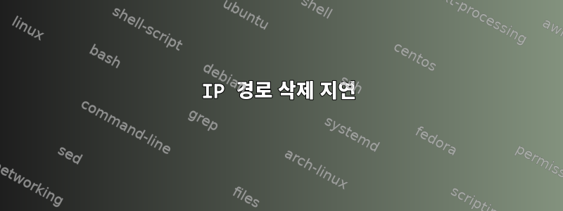 IP 경로 삭제 지연