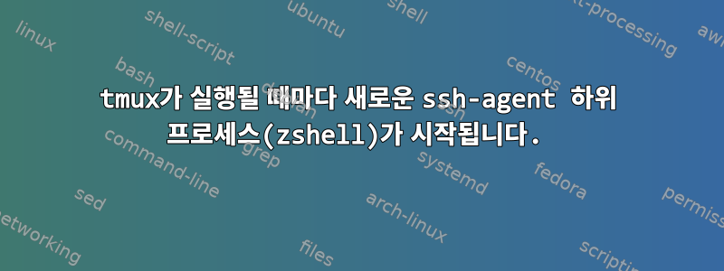 tmux가 실행될 때마다 새로운 ssh-agent 하위 프로세스(zshell)가 시작됩니다.