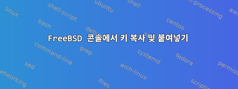 FreeBSD 콘솔에서 키 복사 및 붙여넣기