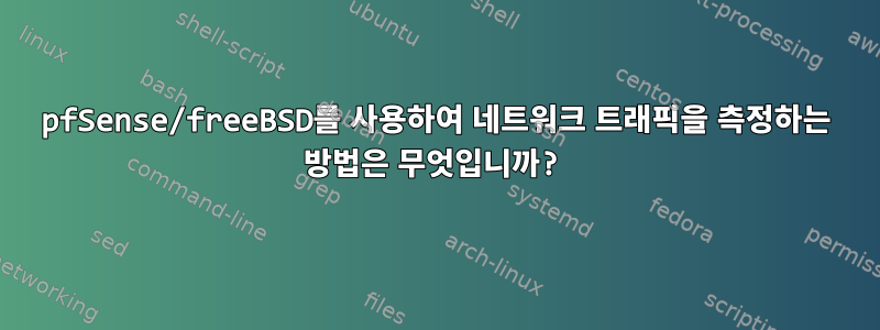 pfSense/freeBSD를 사용하여 네트워크 트래픽을 측정하는 방법은 무엇입니까?