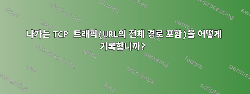 나가는 TCP 트래픽(URL의 전체 경로 포함)을 어떻게 기록합니까?