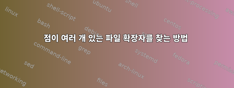 점이 여러 개 있는 파일 확장자를 찾는 방법