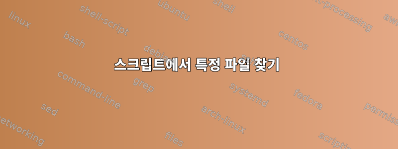 스크립트에서 특정 파일 찾기