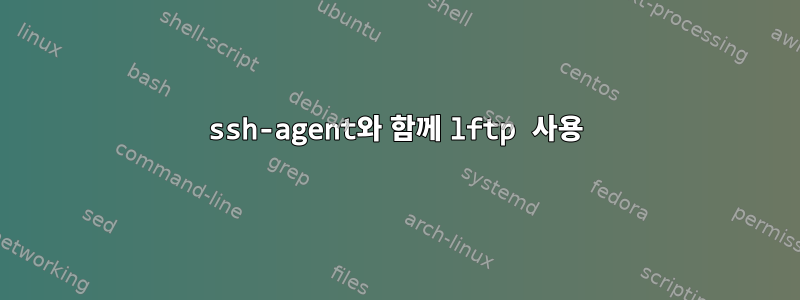 ssh-agent와 함께 lftp 사용