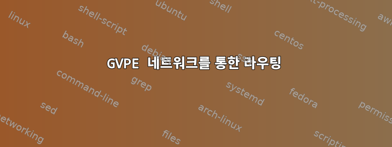 GVPE 네트워크를 통한 라우팅