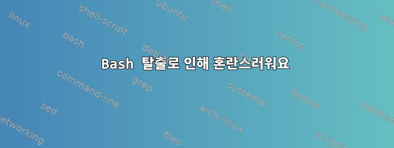 Bash 탈출로 인해 혼란스러워요