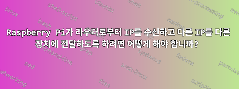 Raspberry Pi가 라우터로부터 IP를 수신하고 다른 IP를 다른 장치에 전달하도록 하려면 어떻게 해야 합니까?