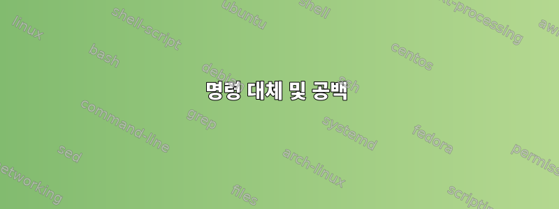 명령 대체 및 공백