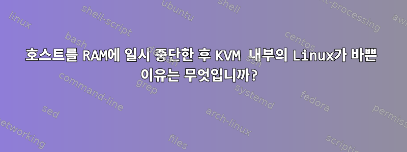 호스트를 RAM에 일시 중단한 후 KVM 내부의 Linux가 바쁜 이유는 무엇입니까?