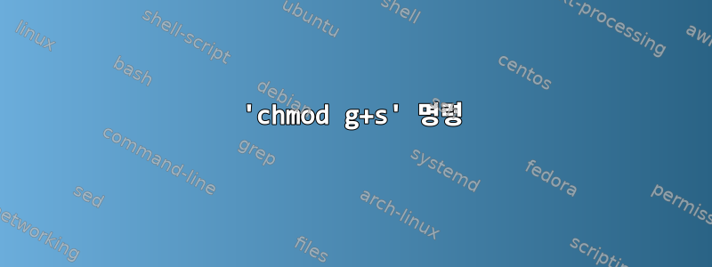 'chmod g+s' 명령