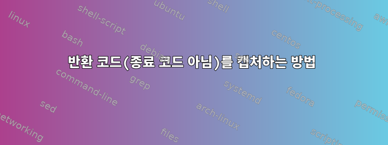 반환 코드(종료 코드 아님)를 캡처하는 방법