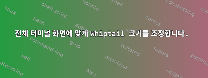 전체 터미널 화면에 맞게 Whiptail 크기를 조정합니다.