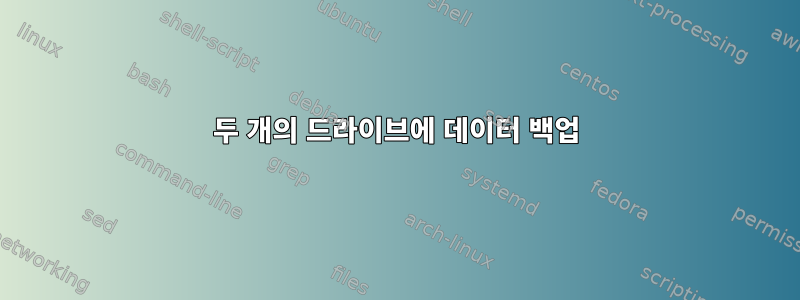 두 개의 드라이브에 데이터 백업