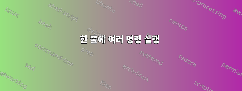 한 줄에 여러 명령 실행