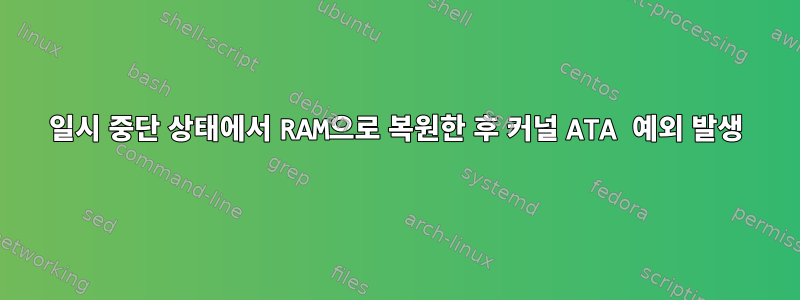 일시 중단 상태에서 RAM으로 복원한 후 커널 ATA 예외 발생