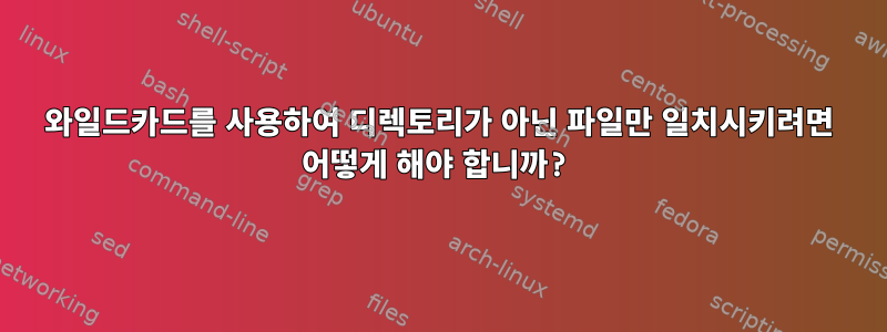 와일드카드를 사용하여 디렉토리가 아닌 파일만 일치시키려면 어떻게 해야 합니까?