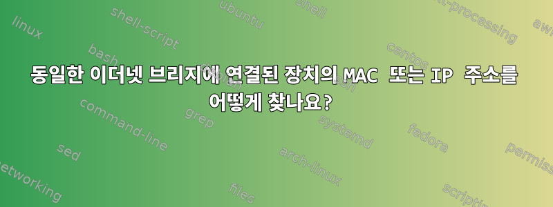 동일한 이더넷 브리지에 연결된 장치의 MAC 또는 IP 주소를 어떻게 찾나요?