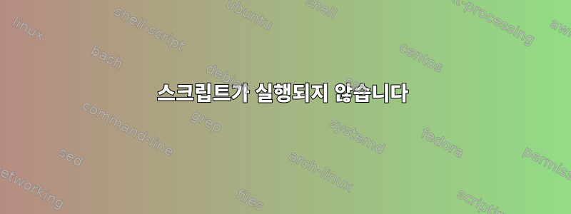 스크립트가 실행되지 않습니다