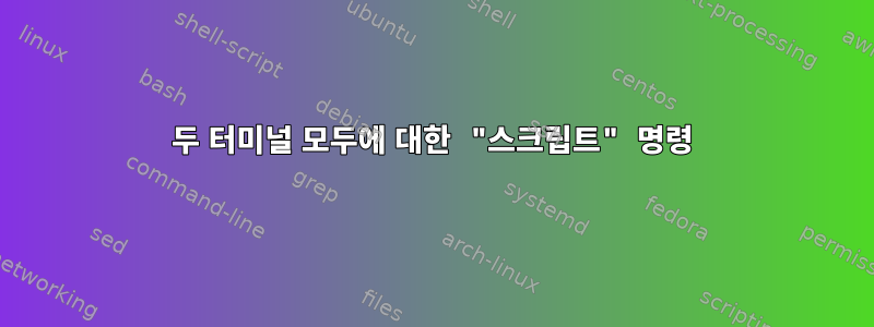 두 터미널 모두에 대한 "스크립트" 명령