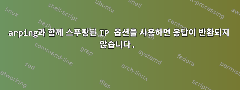 arping과 함께 스푸핑된 IP 옵션을 사용하면 응답이 반환되지 않습니다.