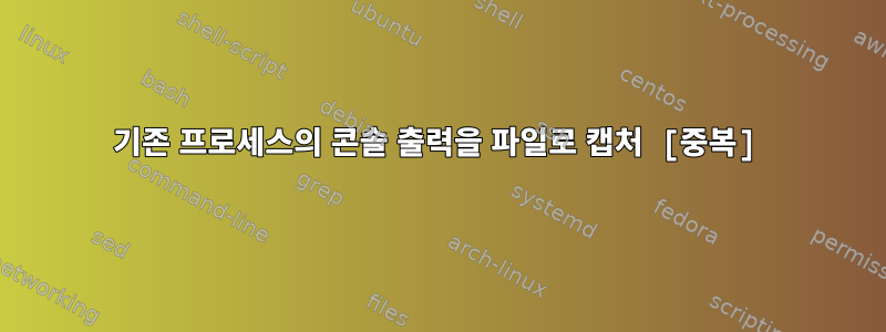 기존 프로세스의 콘솔 출력을 파일로 캡처 [중복]