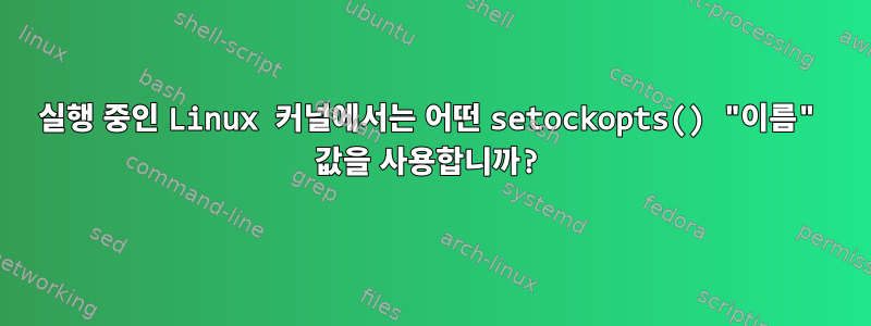 실행 중인 Linux 커널에서는 어떤 setockopts() "이름" 값을 사용합니까?