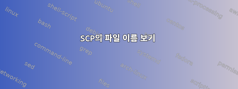 SCP의 파일 이름 보기