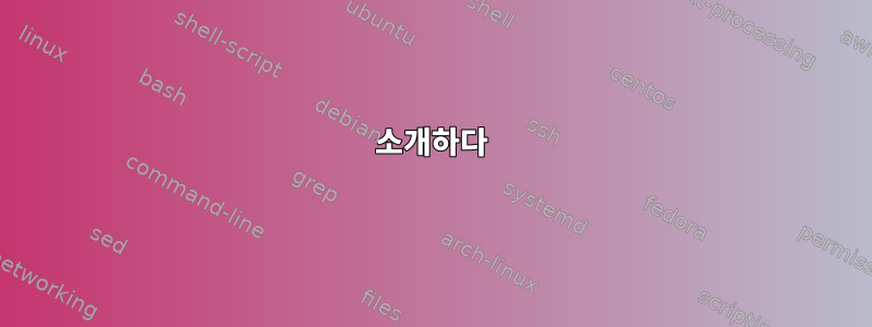 소개하다