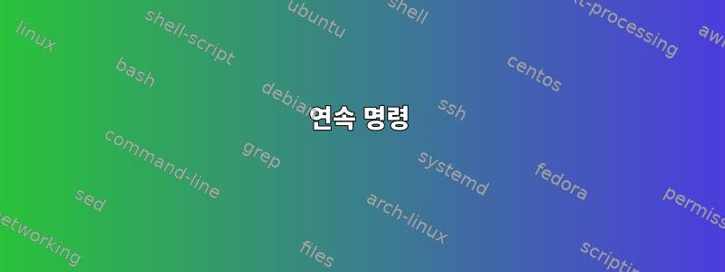 연속 명령