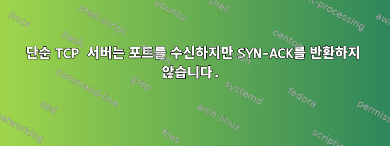 단순 TCP 서버는 포트를 수신하지만 SYN-ACK를 반환하지 않습니다.