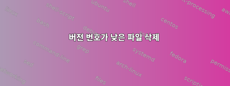 버전 번호가 낮은 파일 삭제