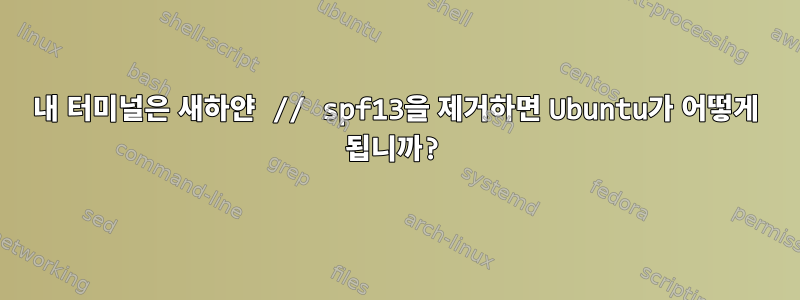 내 터미널은 새하얀 // spf13을 제거하면 Ubuntu가 어떻게 됩니까?