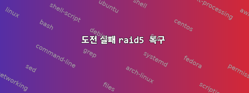 도전 실패 raid5 복구