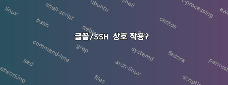 글꼴/SSH 상호 작용?