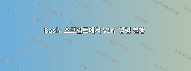 Bash 스크립트에서 Vim 명령 실행