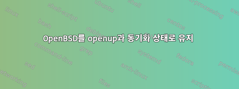 OpenBSD를 openup과 동기화 상태로 유지