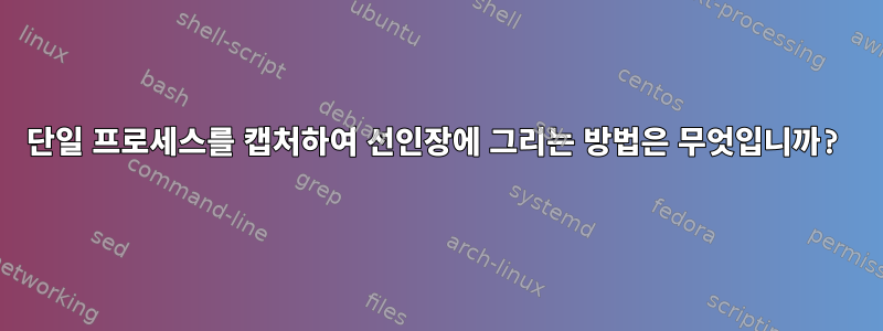 단일 프로세스를 캡처하여 선인장에 그리는 방법은 무엇입니까?