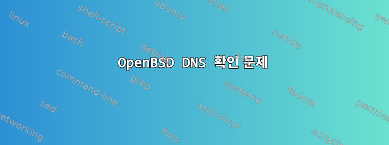 OpenBSD DNS 확인 문제