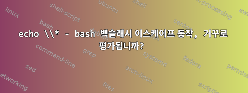 echo \\* - bash 백슬래시 이스케이프 동작, 거꾸로 평가됩니까?