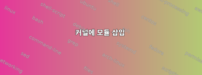 커널에 모듈 삽입