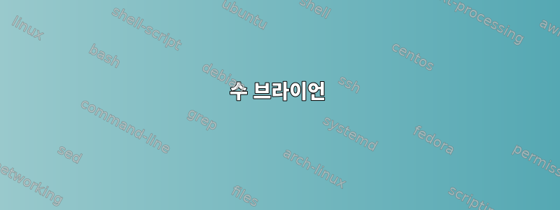 수 브라이언