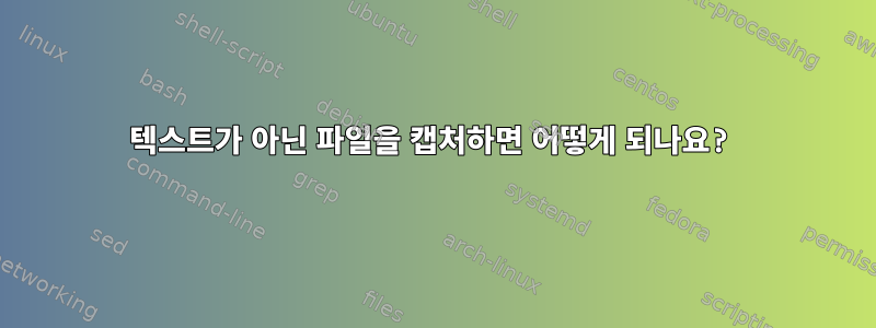 텍스트가 아닌 파일을 캡처하면 어떻게 되나요?